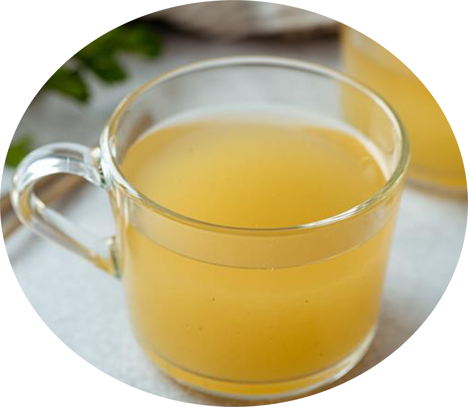Skin Health Diet For Dogs Medicus Veterinary Diets skin-health-diet-for-dogs-medicus-veterinary-diets