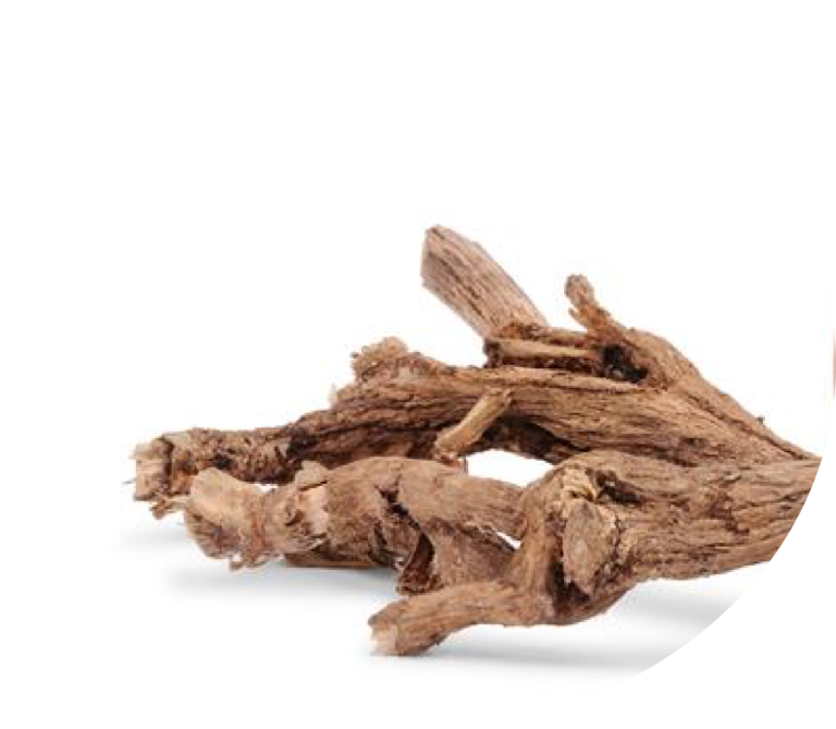 Sensitive Stomach Diet – For Dogs – Medicus Veterinary Diets