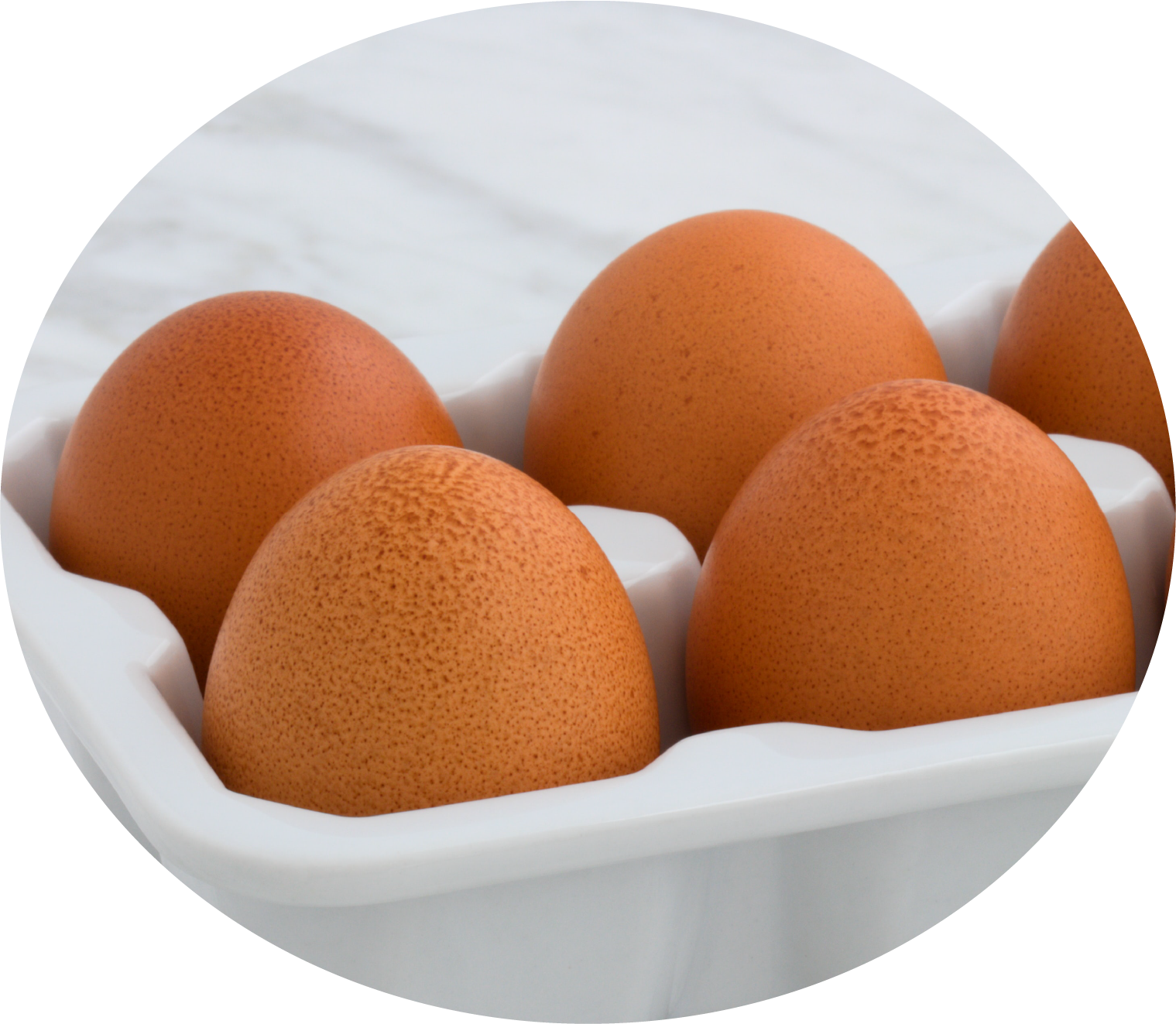 Kidney Support Diet Medicus Veterinary Diets