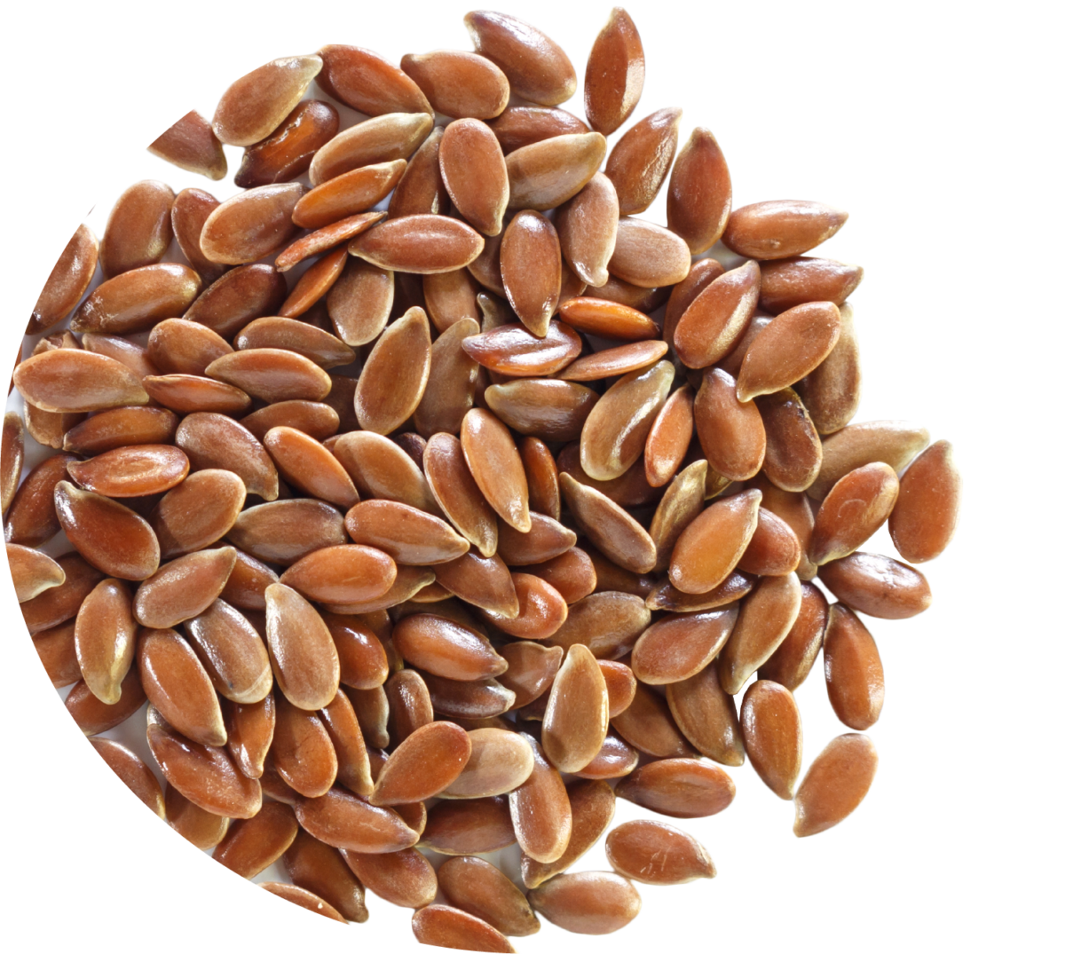 Kidney Support Diet Medicus Veterinary Diets