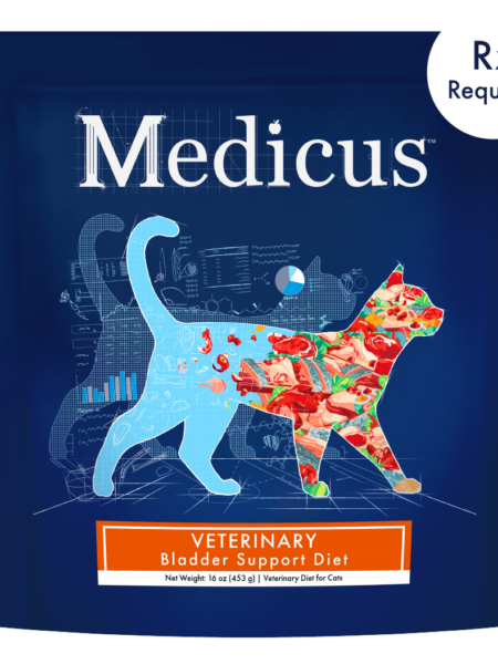 Bladder Support Diet For Cats Bladder Support Diet For Cats