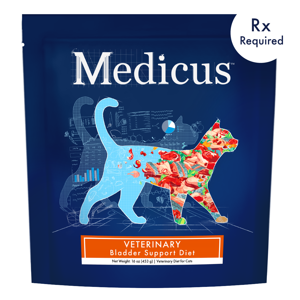 Bladder Support Diet For Cats Bladder Support Diet For Cats