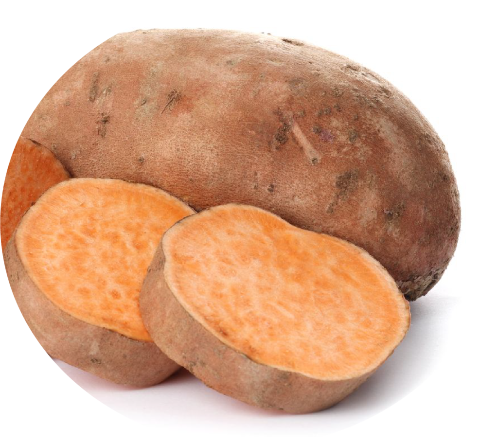 Sweet Potato