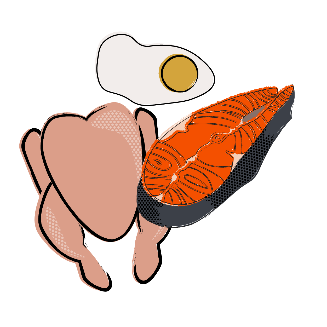 medicus icons _animal proteins (salmon, chicken, egg)