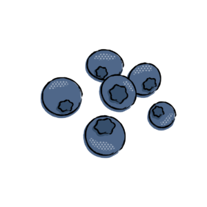 Antioxidant Rich Blueberries