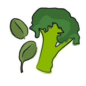 medicus icons _antioxidants (spinach, broccoli)-