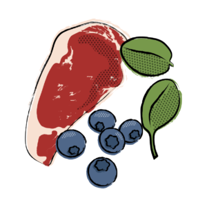 medicus icons _limited ingredients-