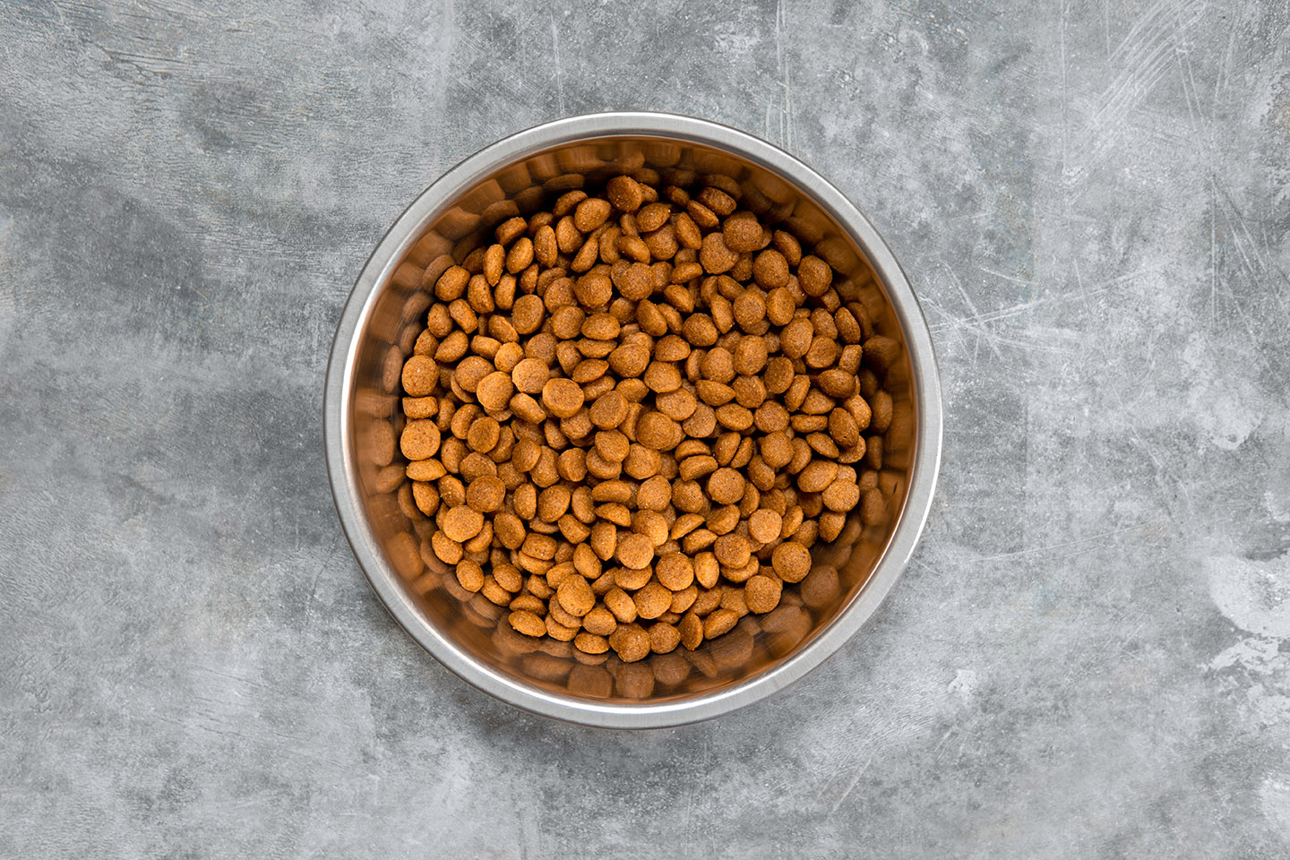 Top view of Dry dog food in a stainless steel bowl with concrete background.