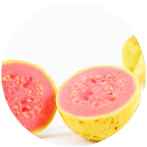 Guava Icon
