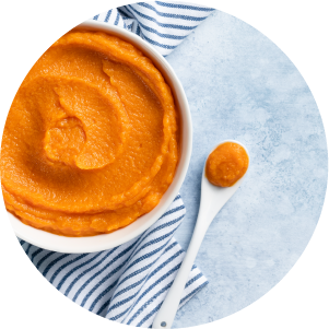 Ingredient-Icons_Pumpkin-Puree.png