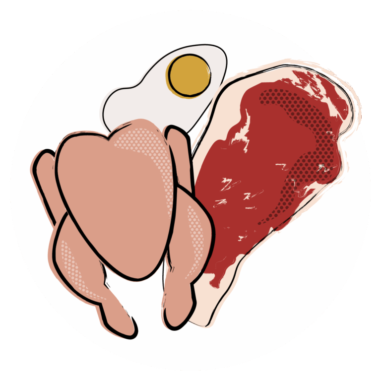 medicus-icons-_high-quality-digestible-protein-.png